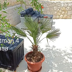 https://apartmani-zeljka.primorje-gorskikotar.com